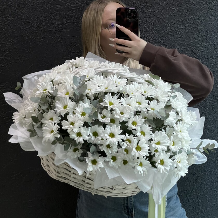 Корзина с ромашками №246
