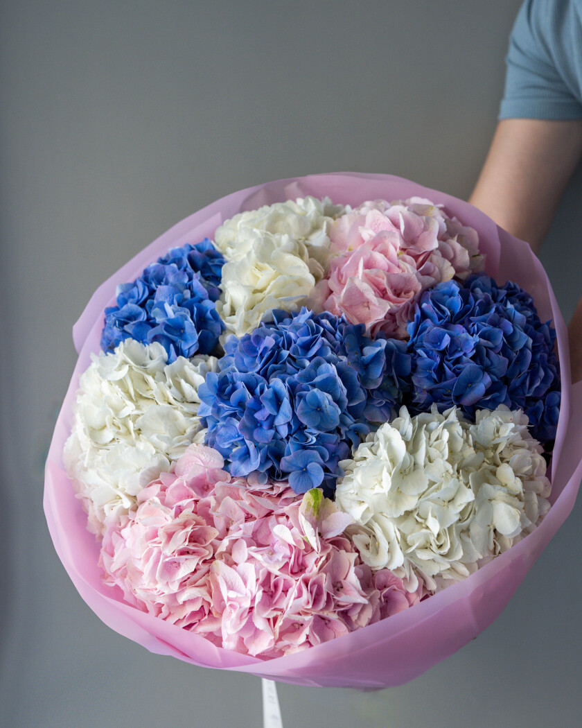 Mixed bouquet of blue, white, and pink hydrangeas