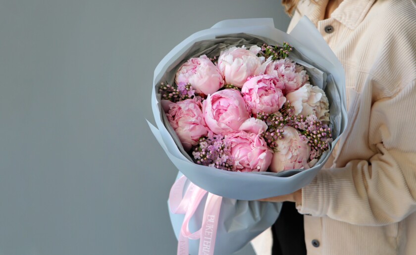 Nine light pink peonies in waterproof paper