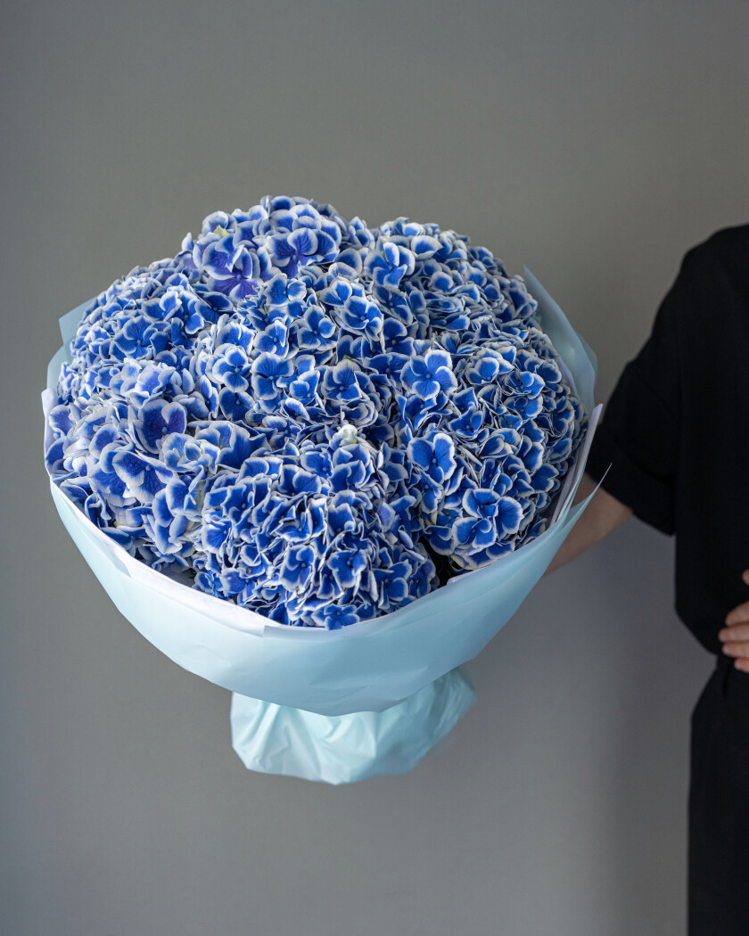 Seven blue hydrangeas in waterproof paper