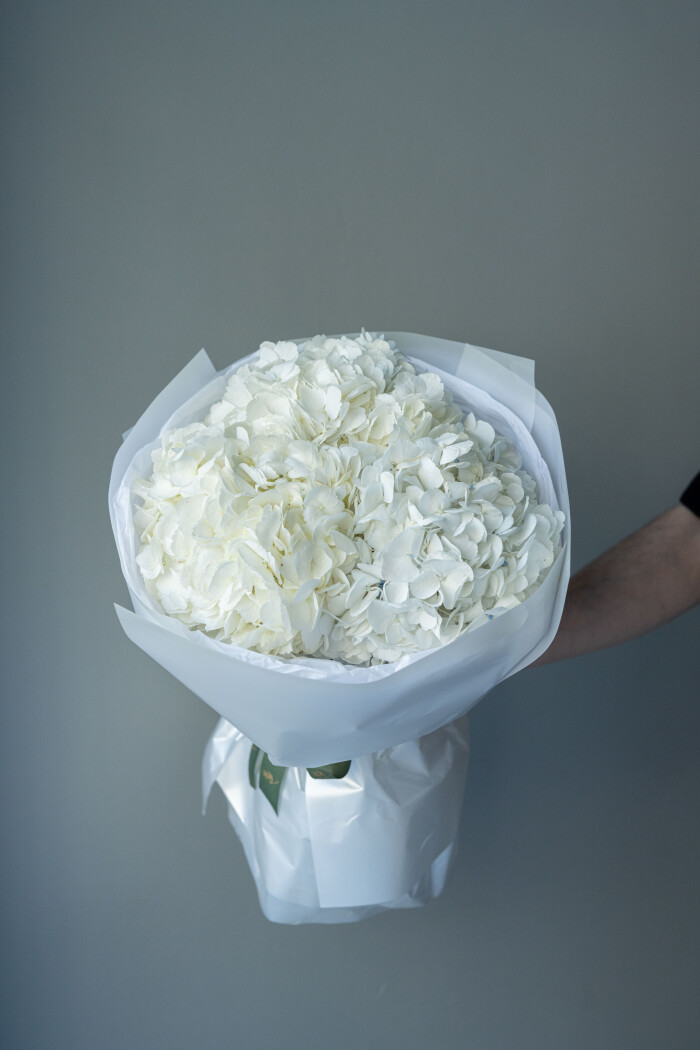 Three white hydrangeas in waterproof paper