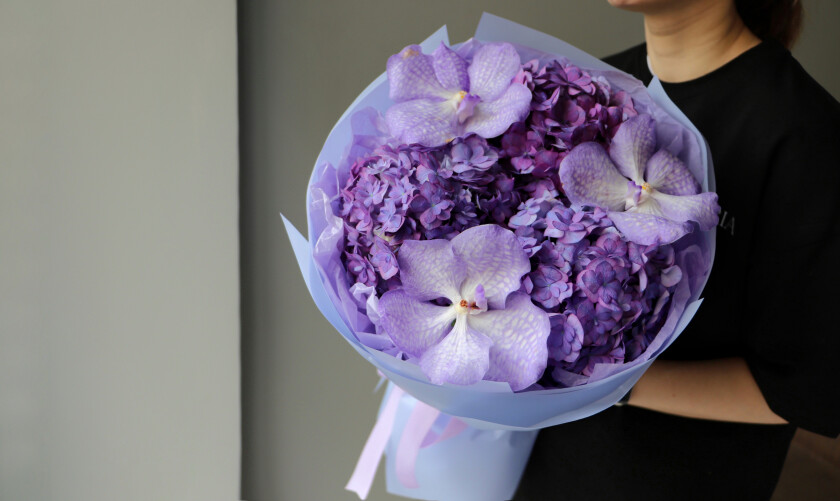 Light blue hydrangeas with lavender vanda orchids