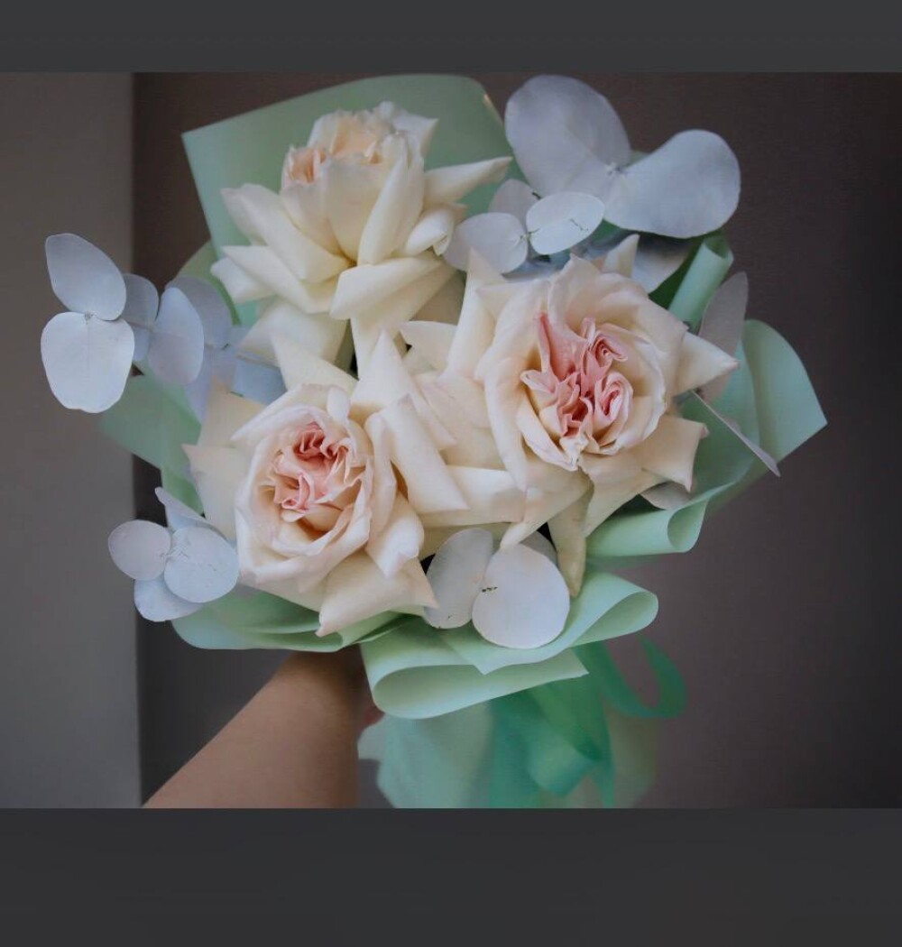 Cream garden roses in waterproof paper