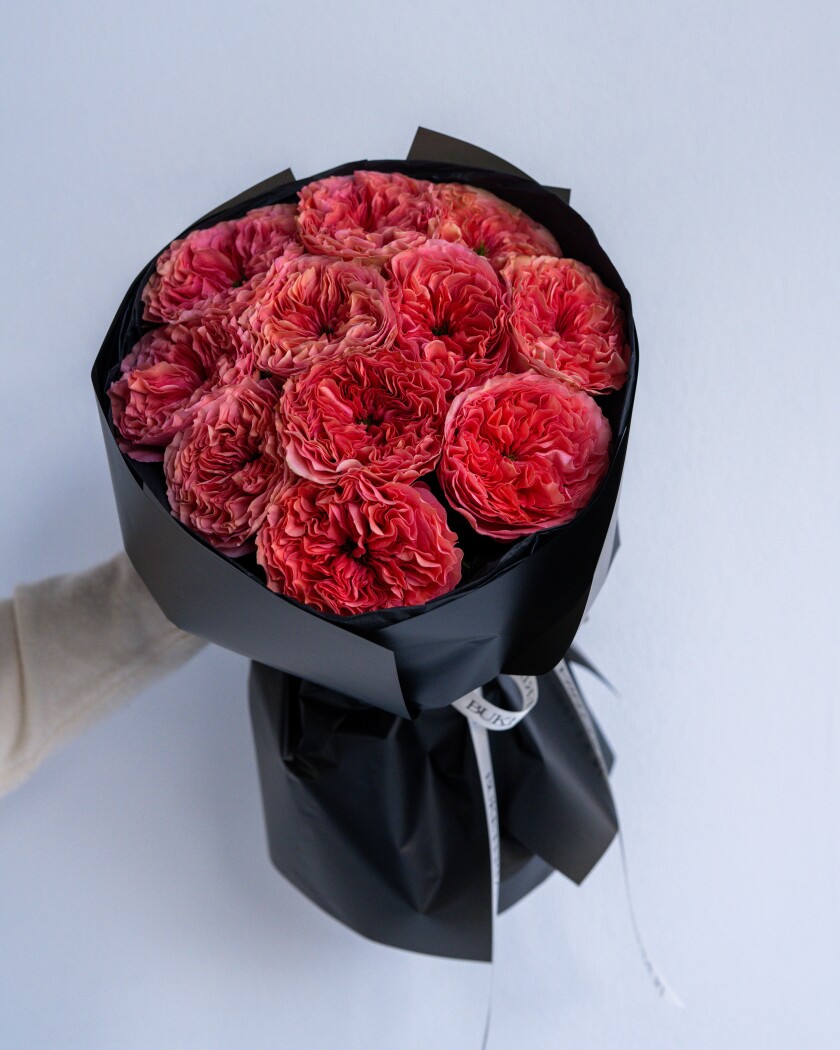 Coral garden roses in waterproof paper