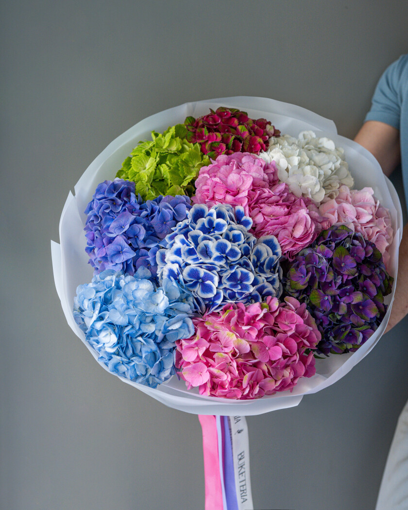 Ten lilac hydrangeas with a pink ribbon