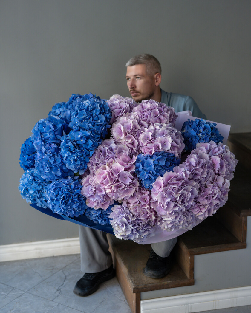 Blue and lilac hydrangeas in waterproof paper