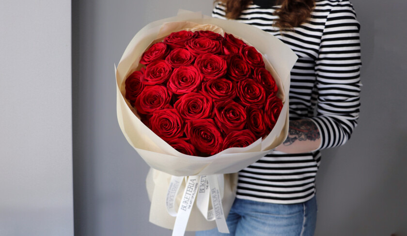Twenty-five red hybrid tea roses in waterproof paper