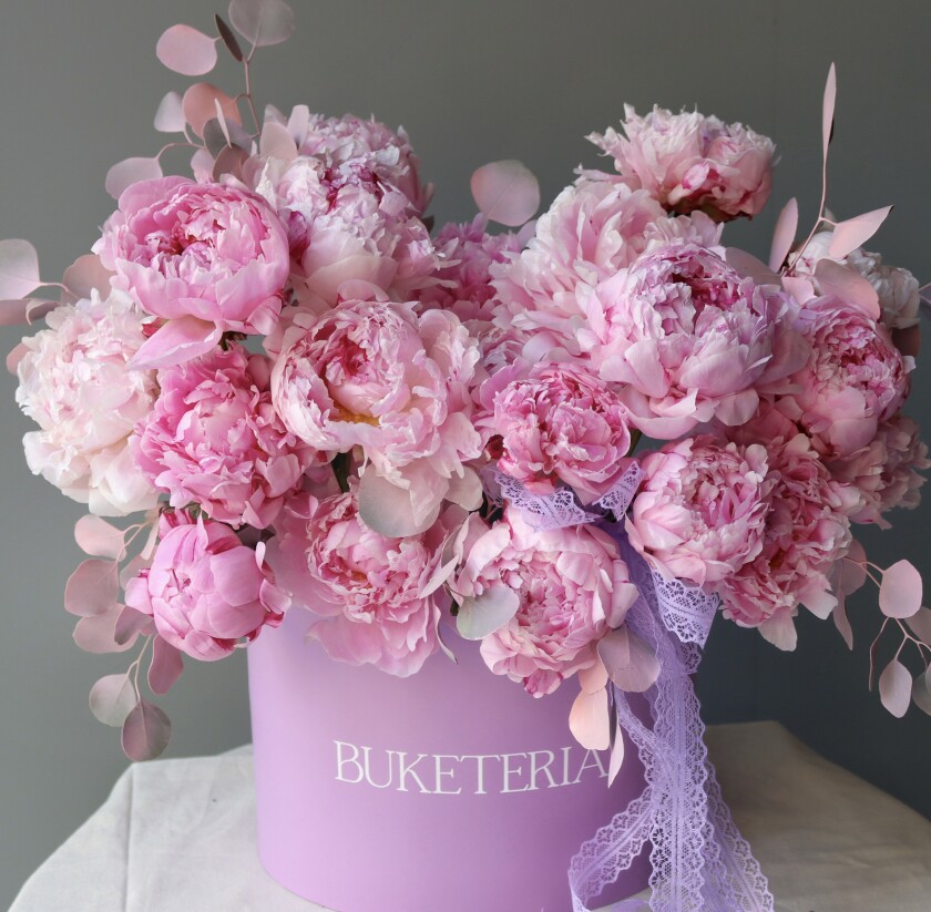 Light pink peonies in a decorative arrangement