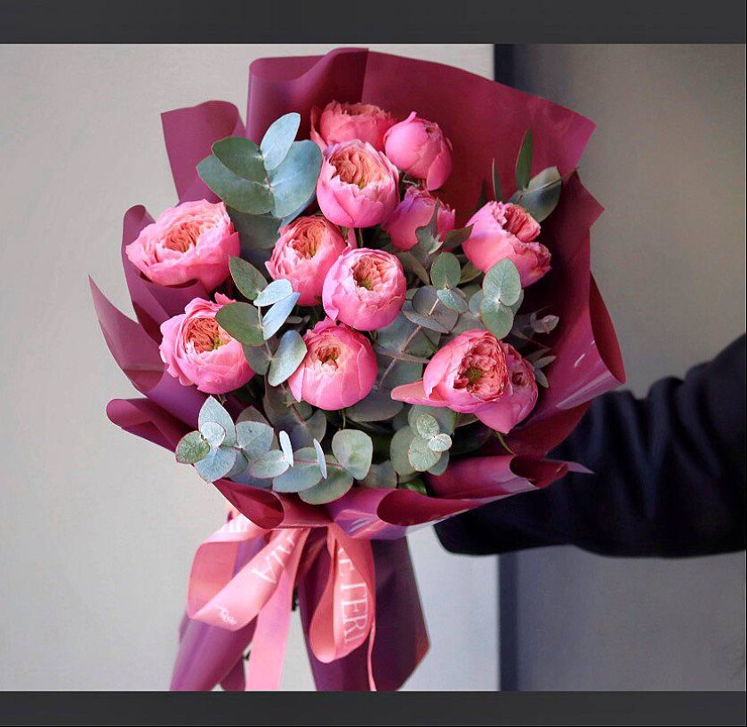 Three light pink spray roses in waterproof paper