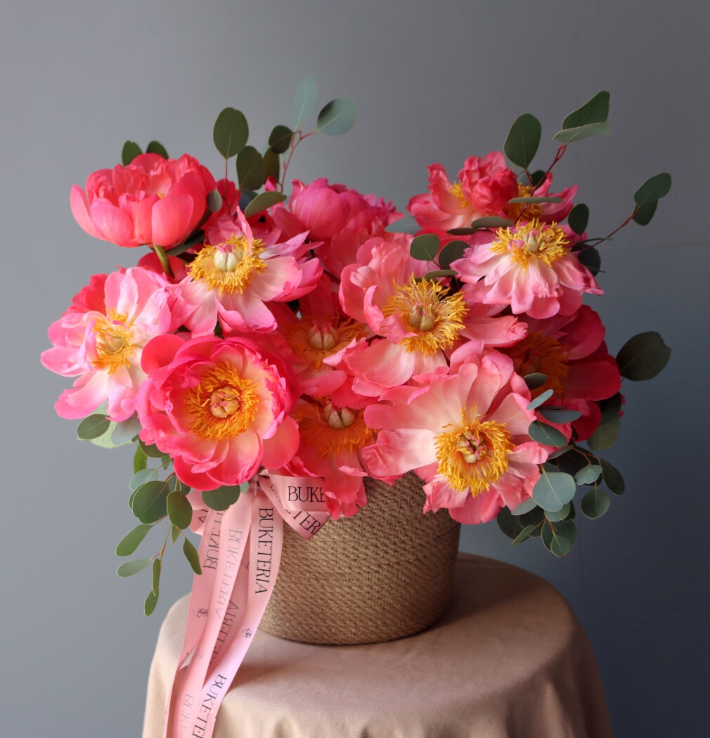 Thirteen coral peonies in a pot