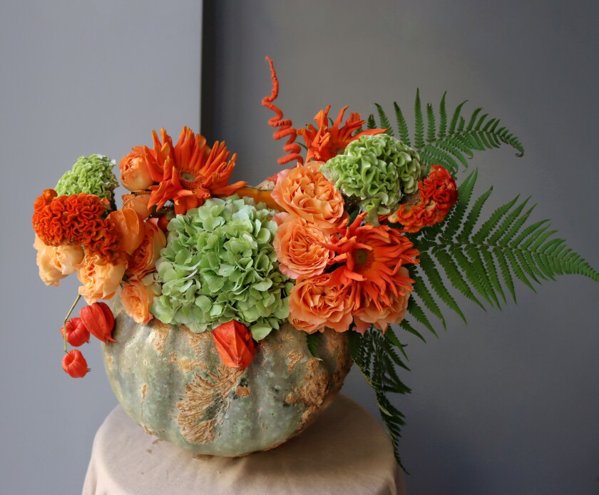 Apricot garden roses with orange gerberas and green hydrangea