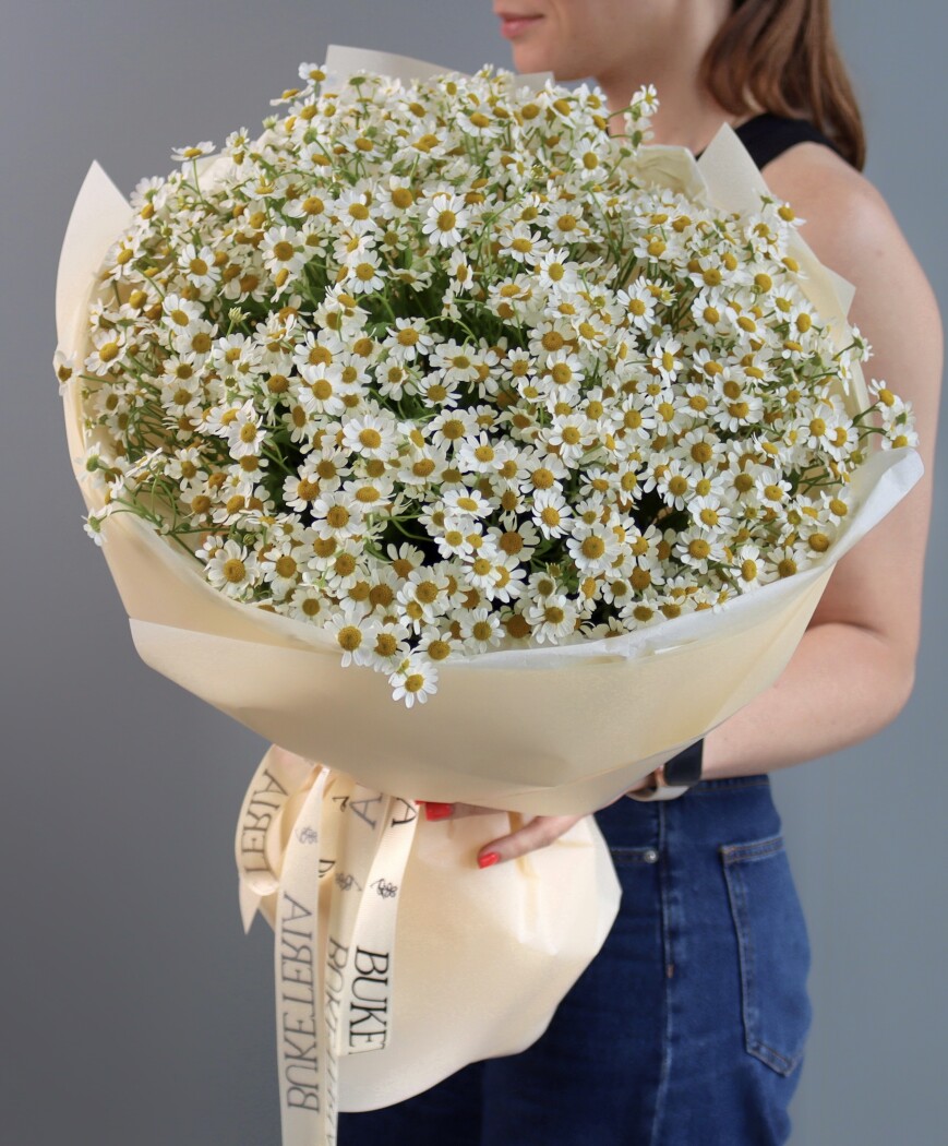 Mono bouquet of white matricaria