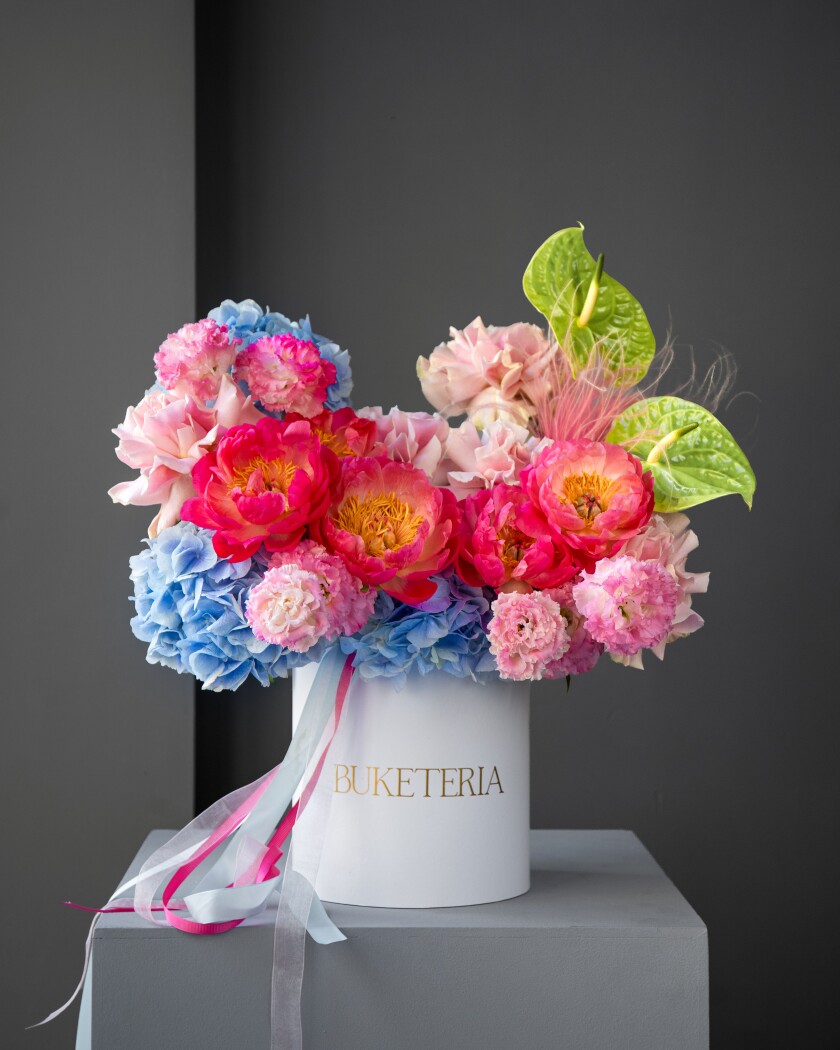 Coral peonies with blue hydrangeas and pink garden roses