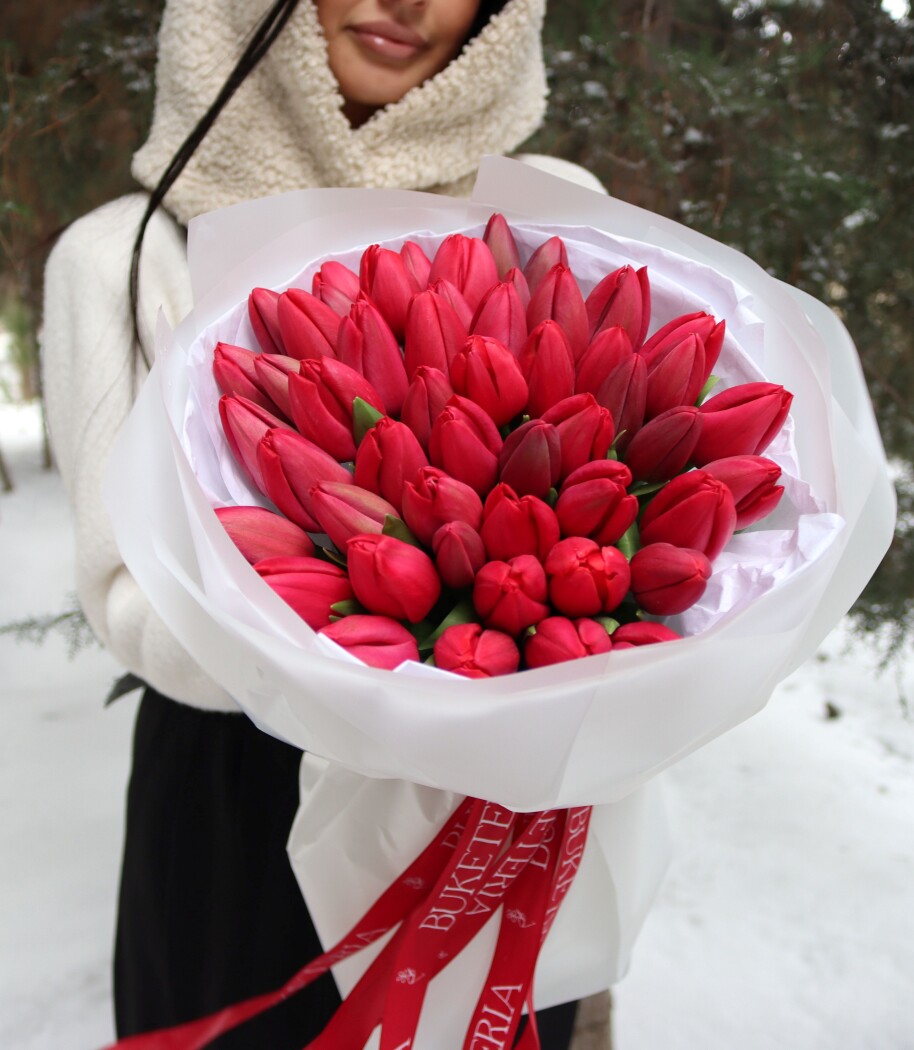 Fifty-one red tulips in waterproof paper