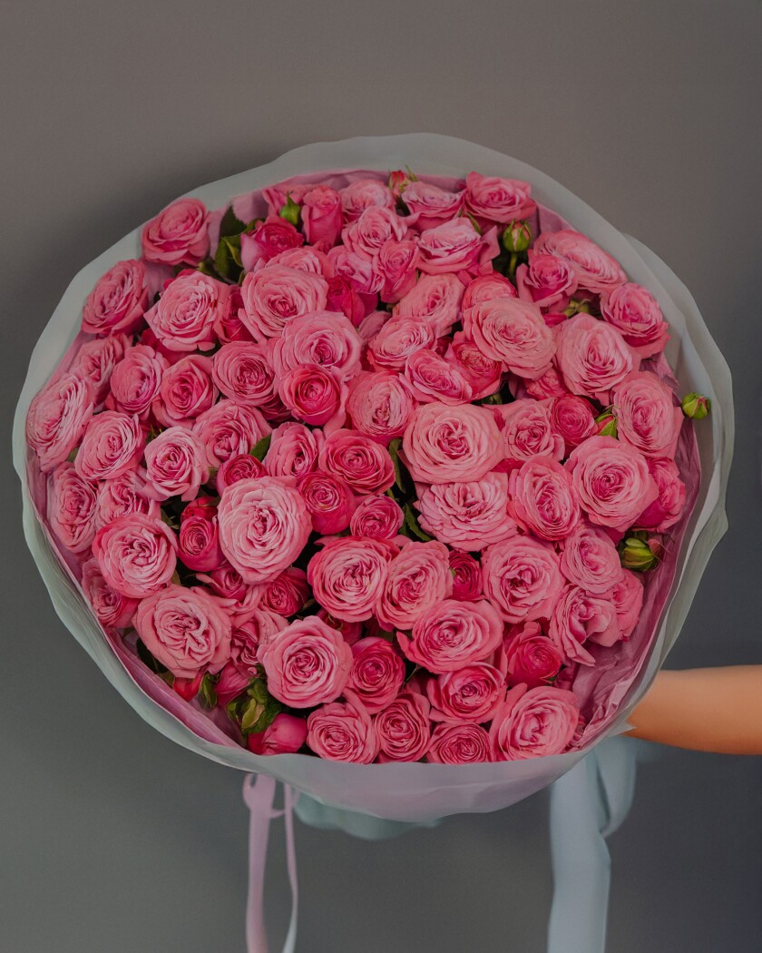 Fifty light pink spray roses in waterproof paper