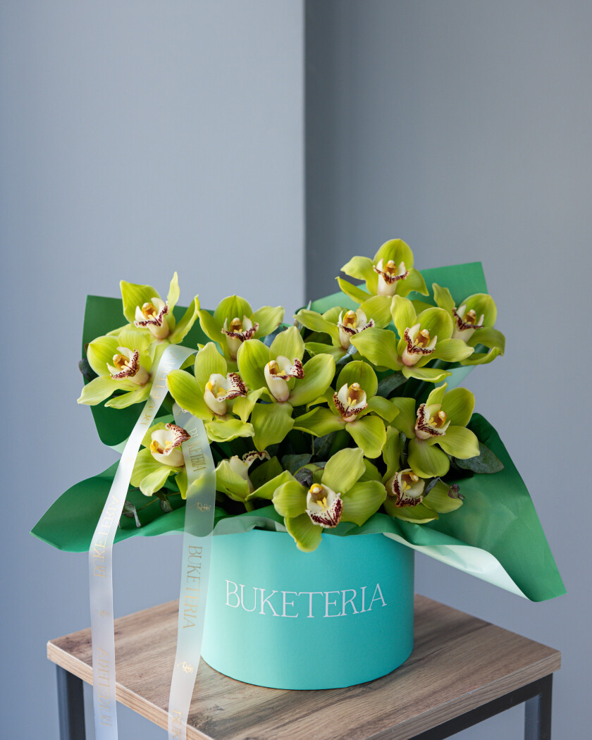Decorative composition of green cymbidium orchids in a luxury box