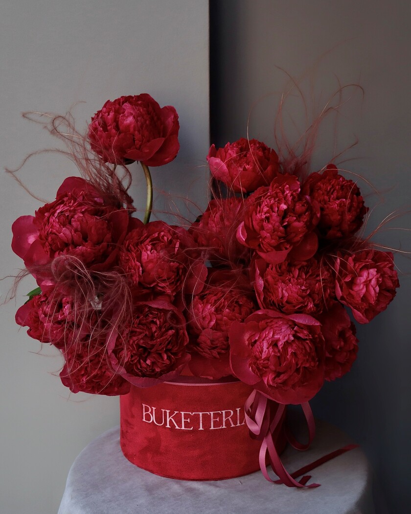 Seventeen red peonies in a luxury box