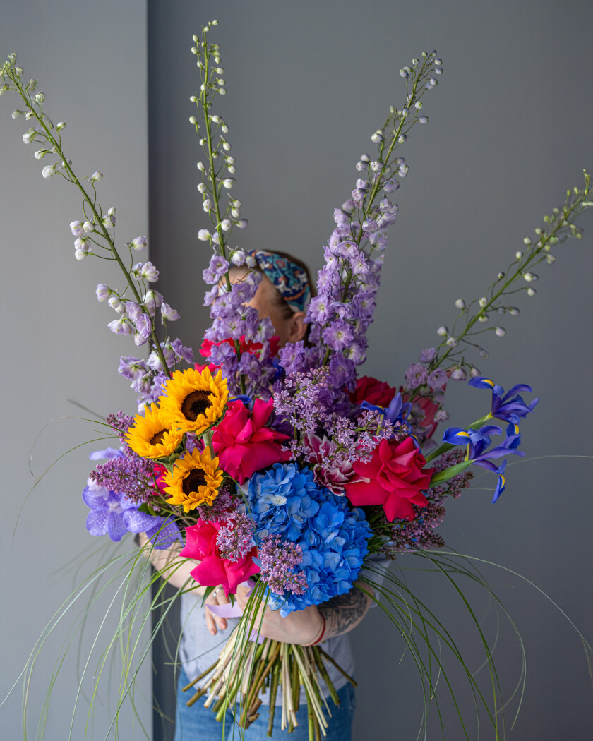 Three blue hydrangeas with hot pink garden roses