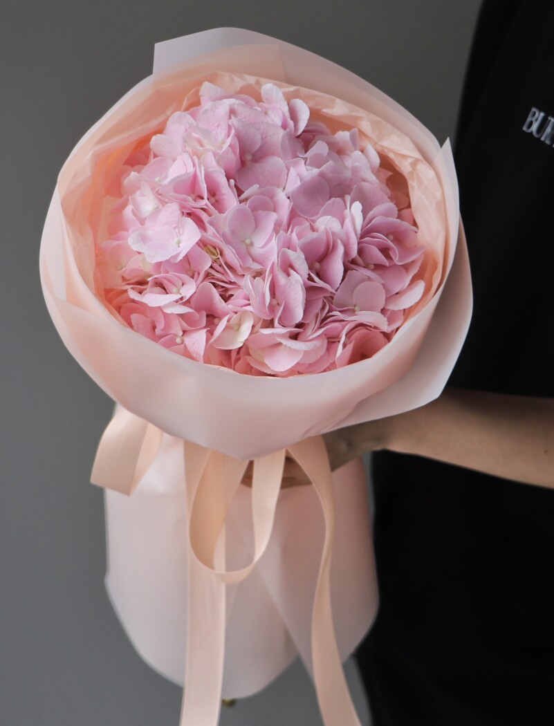 Single light pink hydrangea in waterproof paper