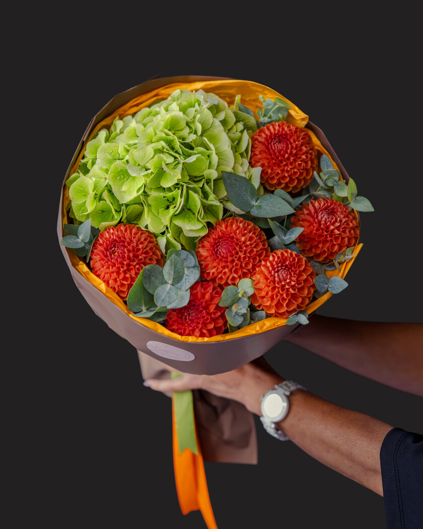 Coral ball dahlias with green hydrangea