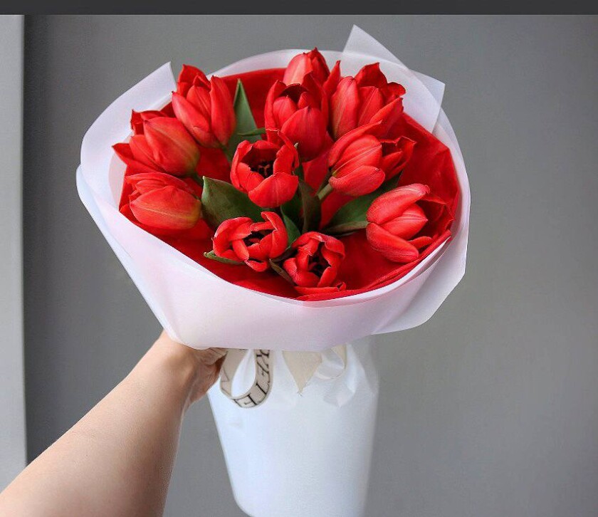 Eleven red tulips in waterproof paper