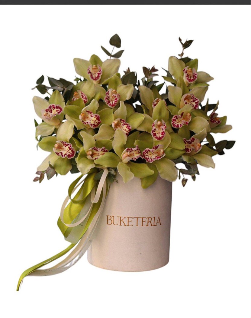 Decorative composition of green cymbidium orchids in a box