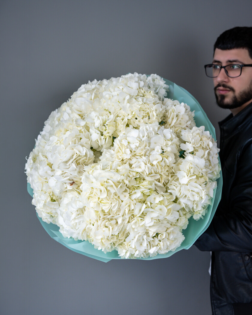 Twenty-five white hydrangeas in waterproof paper