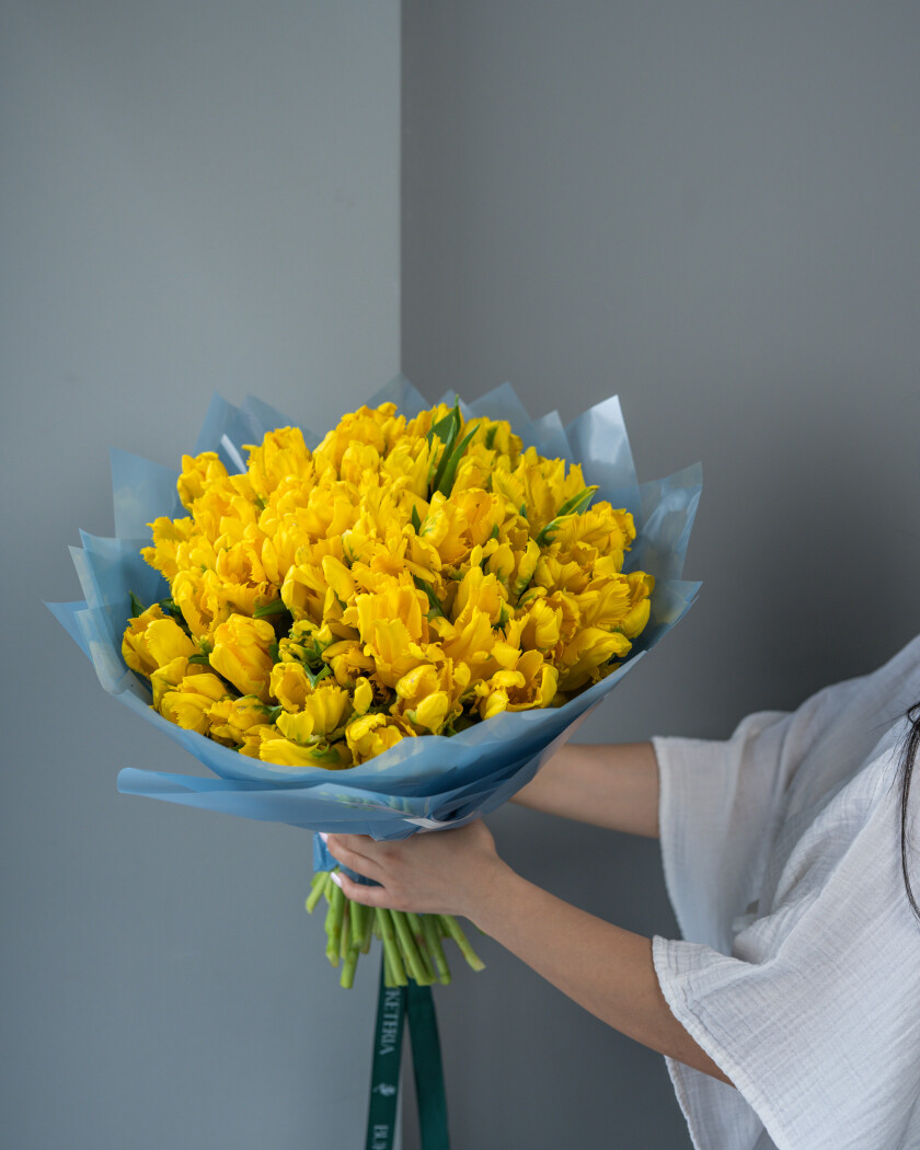 Fifty-one yellow tulips in waterproof paper
