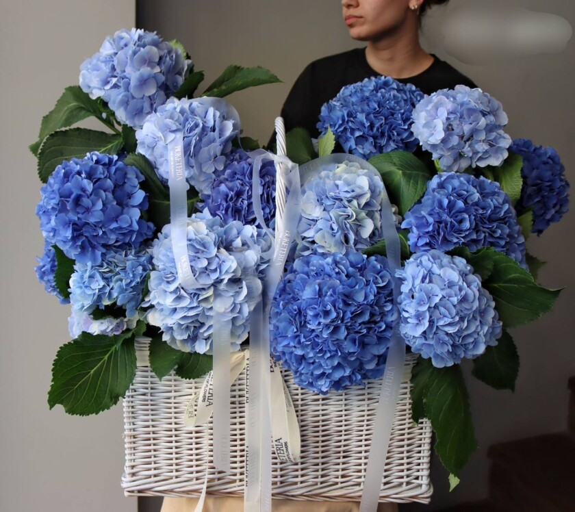 Light blue hydrangeas in a rustic basket