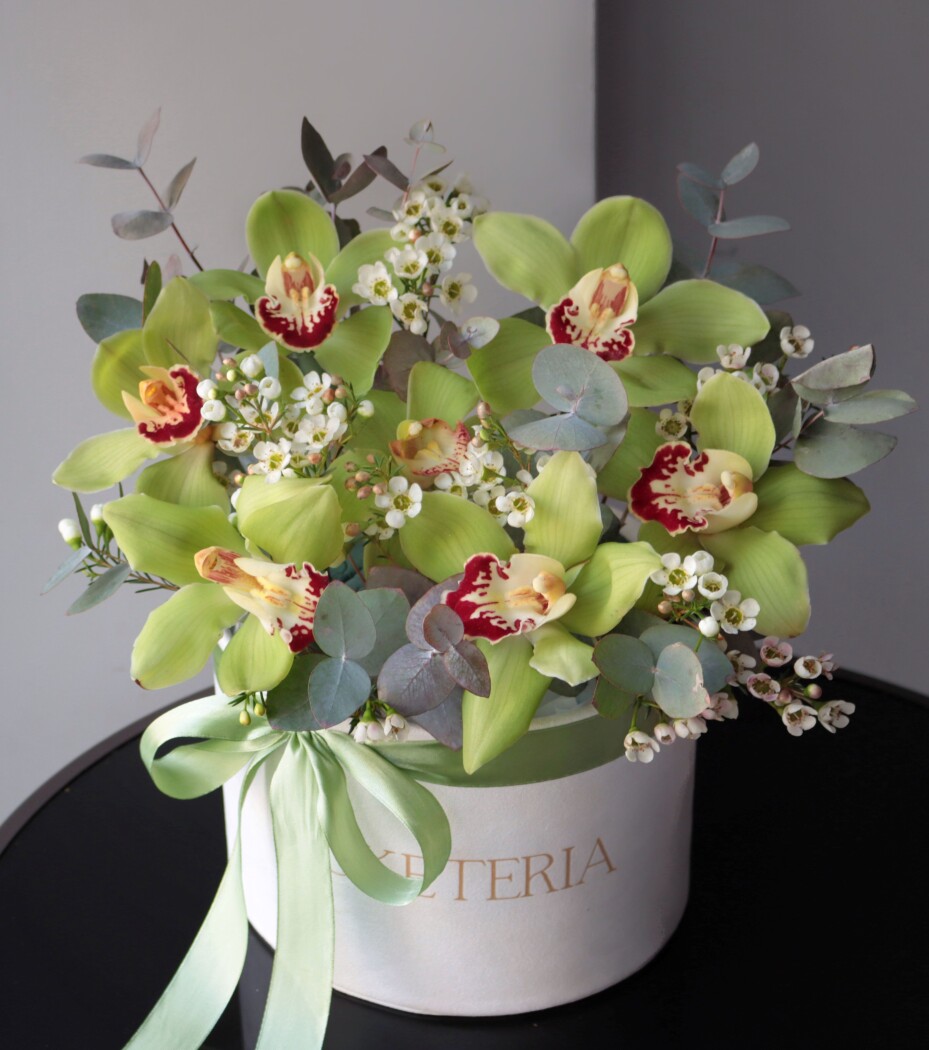 Decorative composition of green cymbidium orchids in an art box