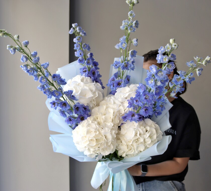 Mixed bouquet of white hydrangeas and light blue delphiniums