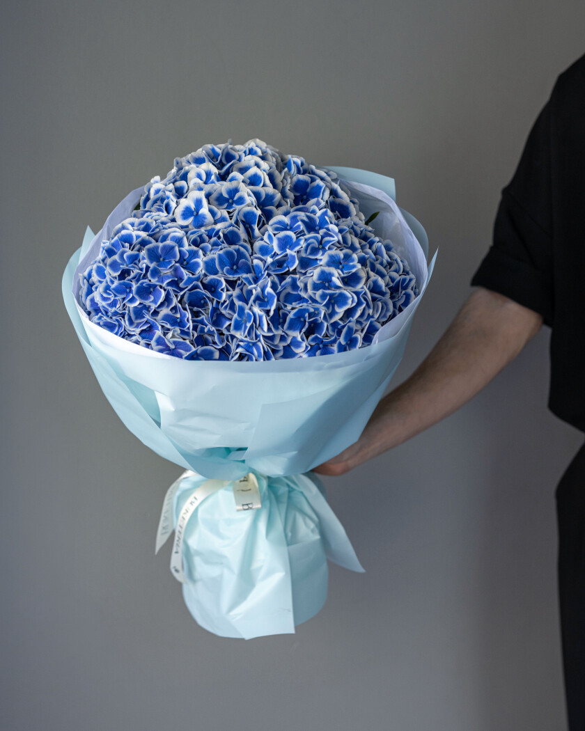Three blue hydrangeas in waterproof paper