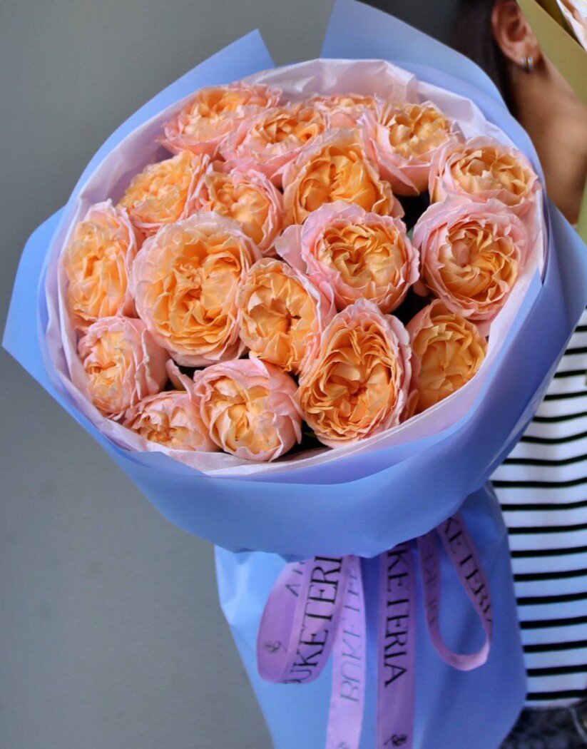 Five peach spray roses in waterproof paper