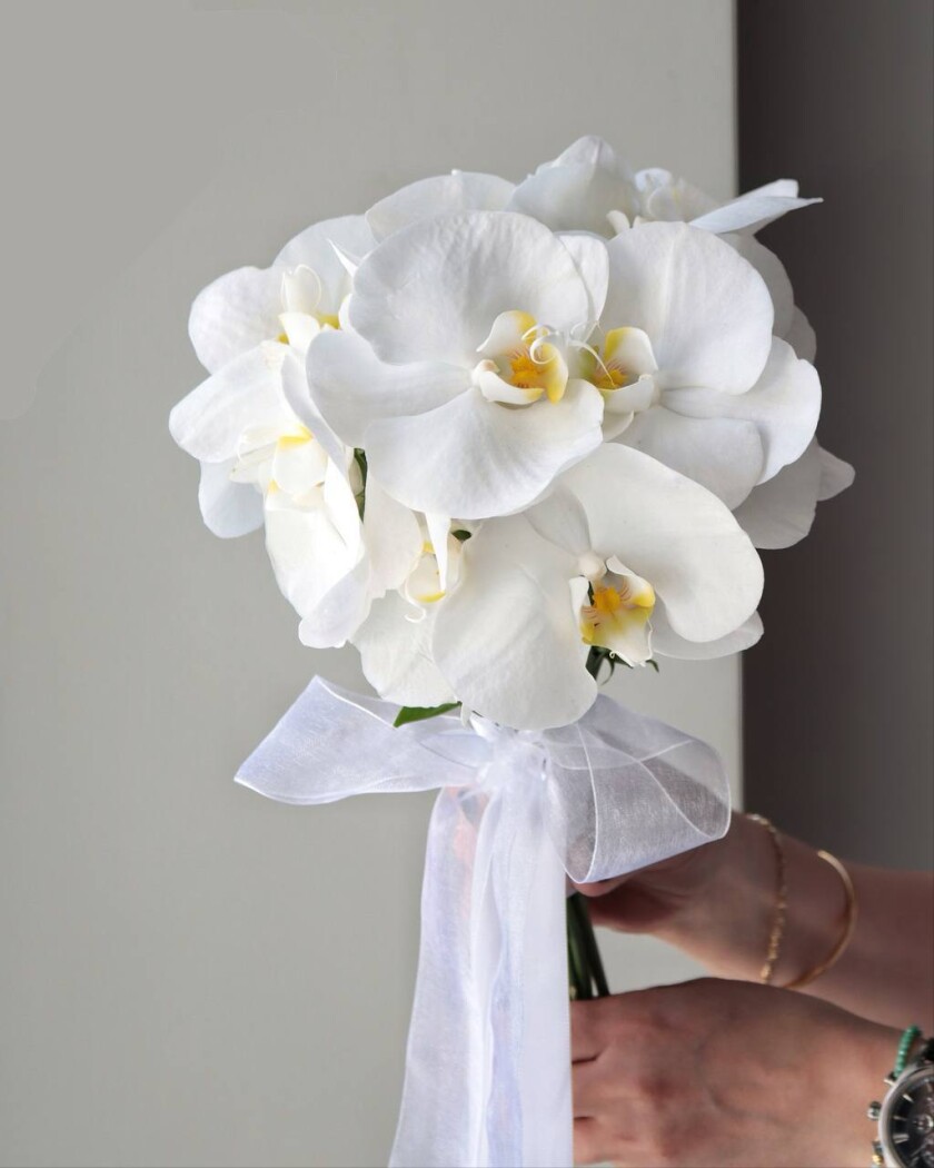 Thirteen white phalaenopsis orchids