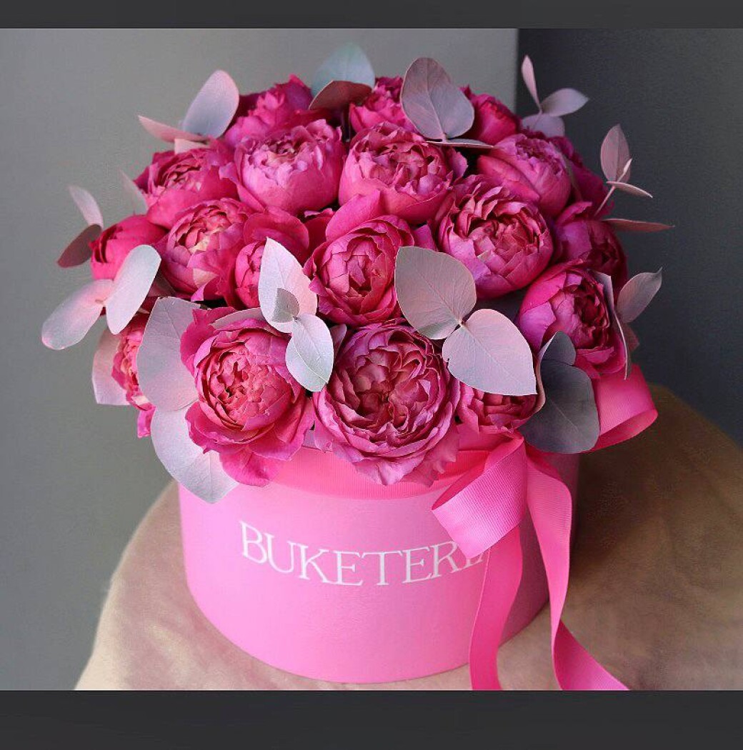Six hot pink spray roses in a decorative arrangement