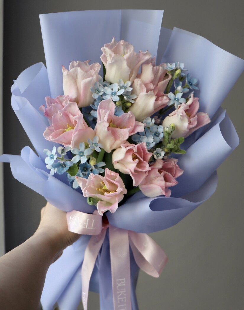 Eleven blush tulips with light blue tweedia