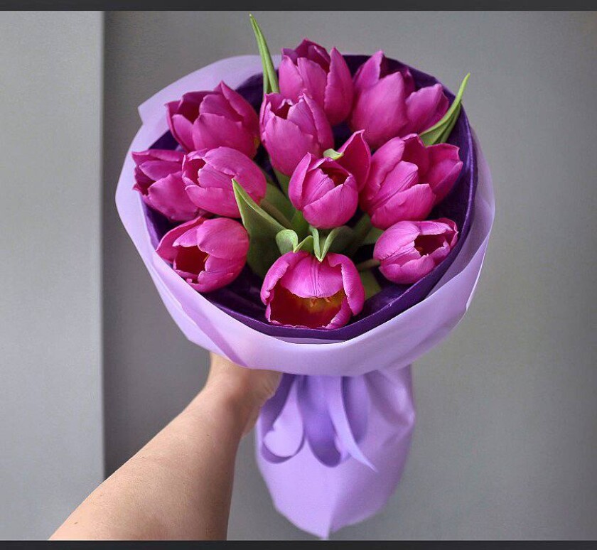 Eleven hot pink tulips in waterproof paper