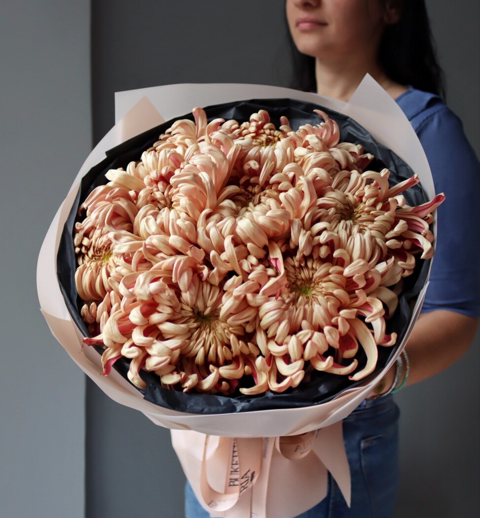 Nine peach pompon chrysanthemums in waterproof paper