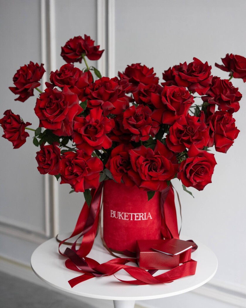 Twenty-five red hybrid tea roses in a luxury box