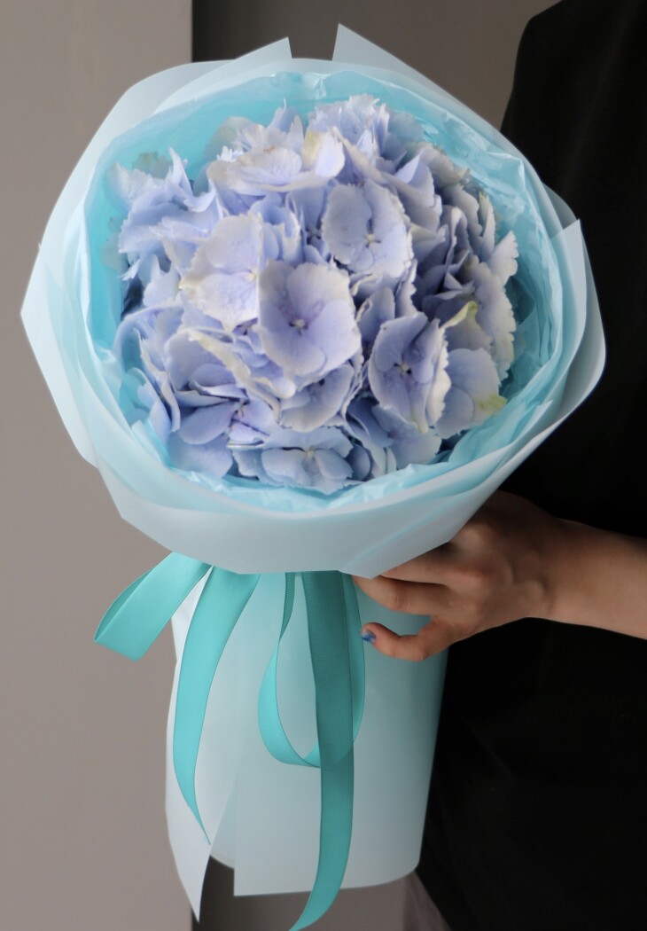 Single light blue hydrangea in waterproof paper