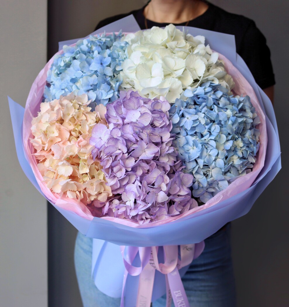 Five light blue hydrangeas in waterproof paper