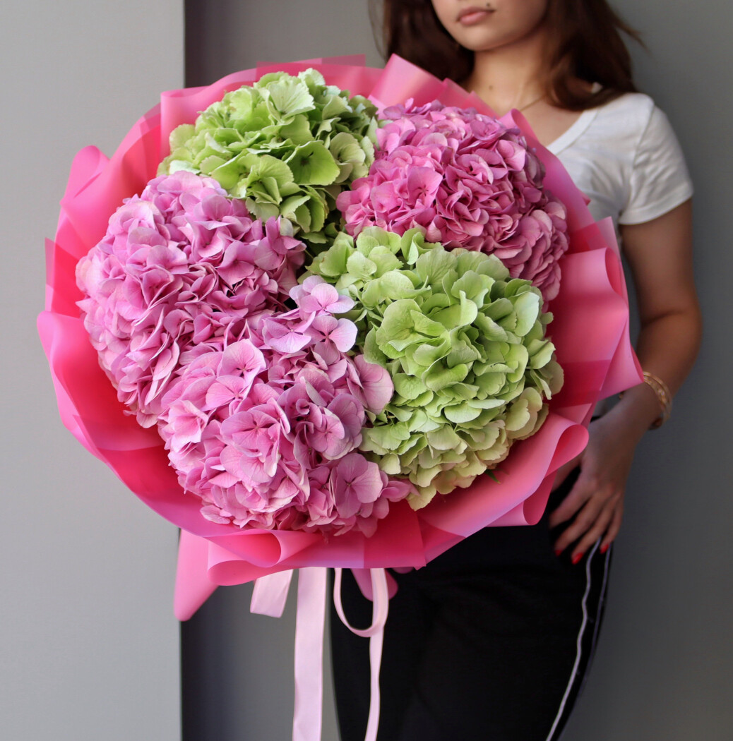 Three hot pink hydrangeas and two green hydrangeas