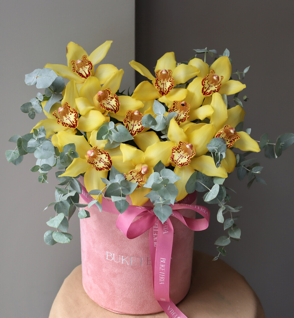 Decorative composition of yellow cymbidium orchids in a luxury box