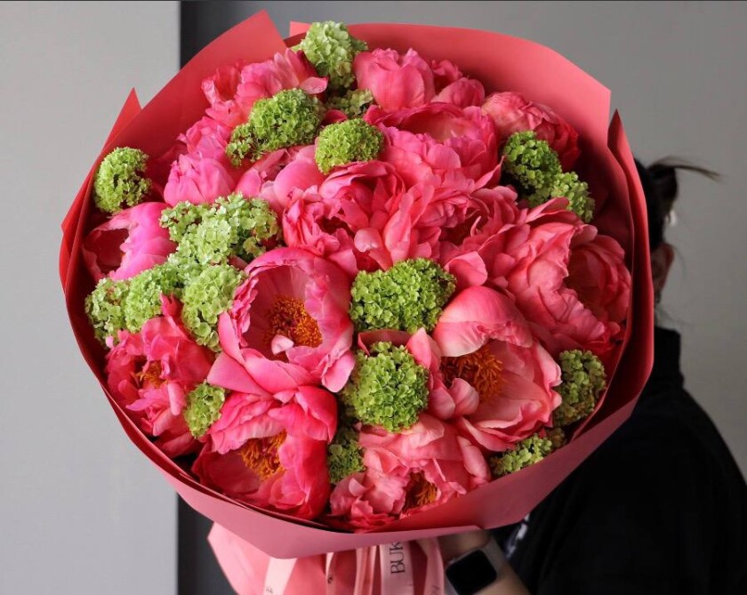 Mixed bouquet of hot pink peonies and green viburnum