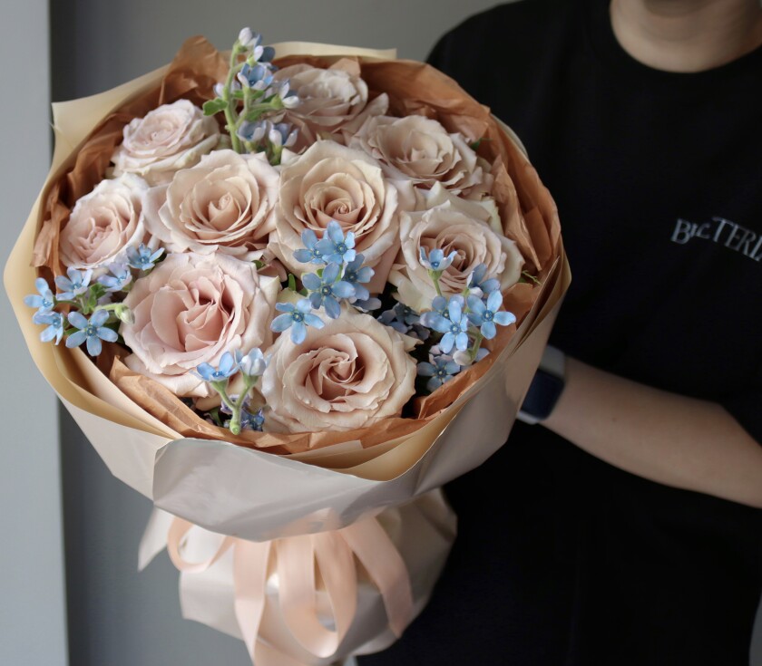 Nine dusty pink garden roses and five light blue tweedia