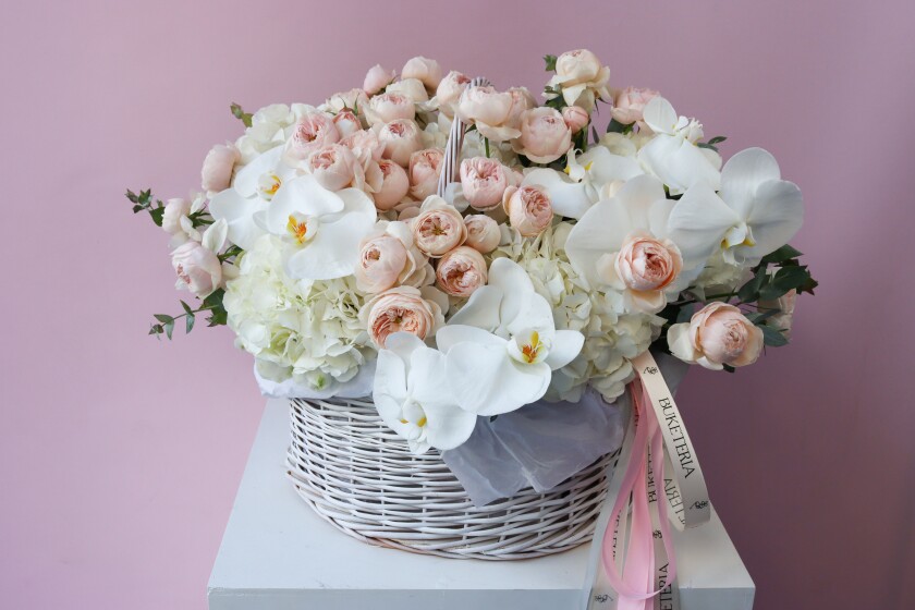 Blush spray roses with white hydrangeas and phalaenopsis orchids