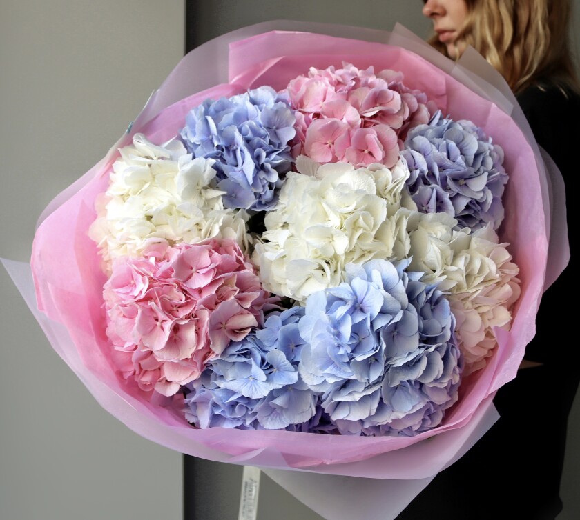 Nine light blue hydrangeas in waterproof paper