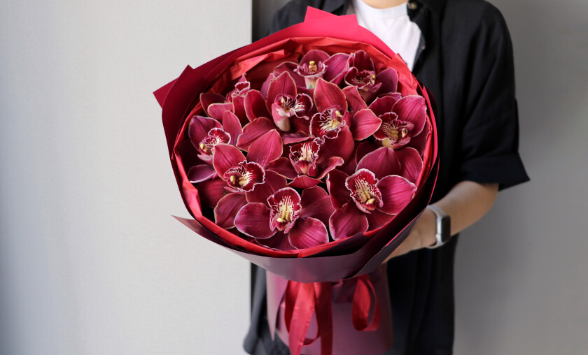 Eleven burgundy cymbidium orchids in waterproof paper