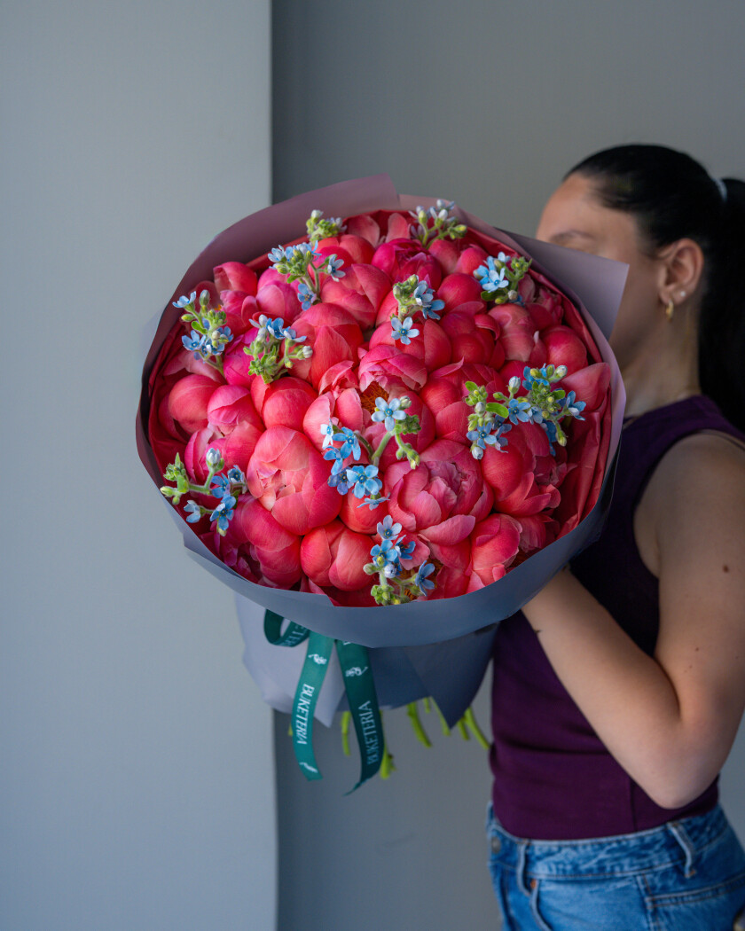 Coral peonies with blue tweedia
