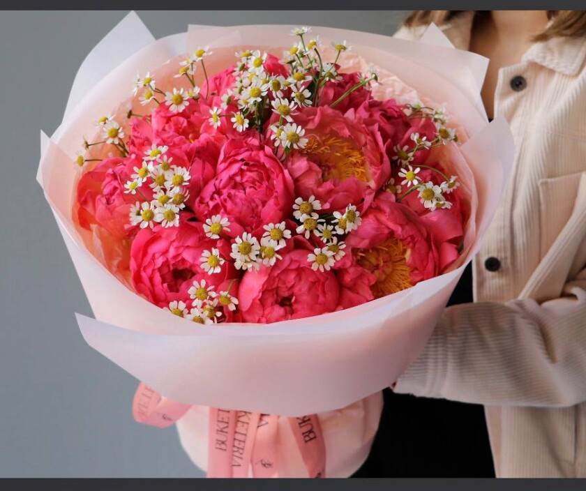 Eleven hot pink peonies with pink ribbon
